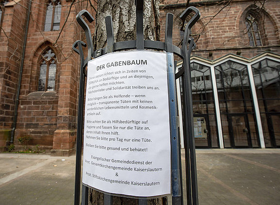 view_Gabenbaum290320jac01.jpg